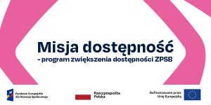 Grafika informacyjna projektu Misja dostępności